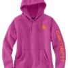 Carhartt Plus Size Clarksburg Sleeve Logo Hooded Sweatshirt -Carhartt 81GGOqQ7EzL. AC SR736920