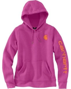 Carhartt Plus Size Clarksburg Sleeve Logo Hooded Sweatshirt