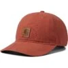 Carhartt Canvas Cap -Carhartt 81bS5MKeQIL. AC SR736920