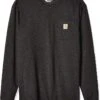 Carhartt Men's Loose Fit Heavyweight Long-Sleeve Pocket Henley T-Shirt -Carhartt 91DASeir4L. AC SR736920